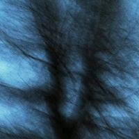 我和狗都不想听