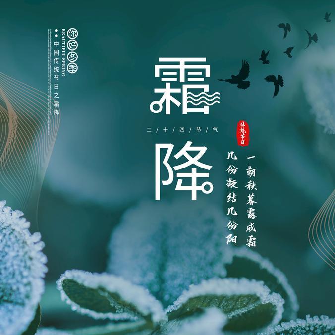 霜降·雁归封面