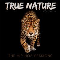 True Nature: The Hip Hop Sessions, Vol. 10