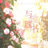 与玫瑰书-2023邓佳鑫17岁原创生日应援曲