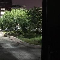 鲸榆