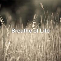 Breathe of Life