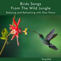Birds Songs From The Wild Jungle