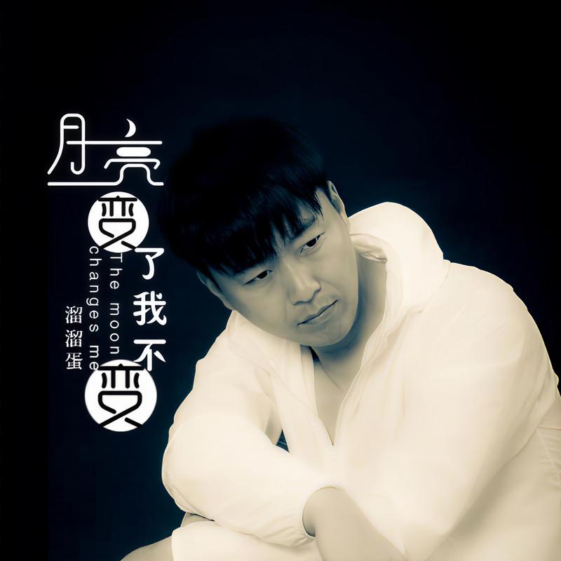 月亮变了我不变 (DJ伟然版伴奏) - 溜溜蛋封面