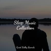 Sleep Music Collection