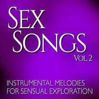 Sex Songs, Vol. 2: Instrumental Melodies for Sensual Exploration