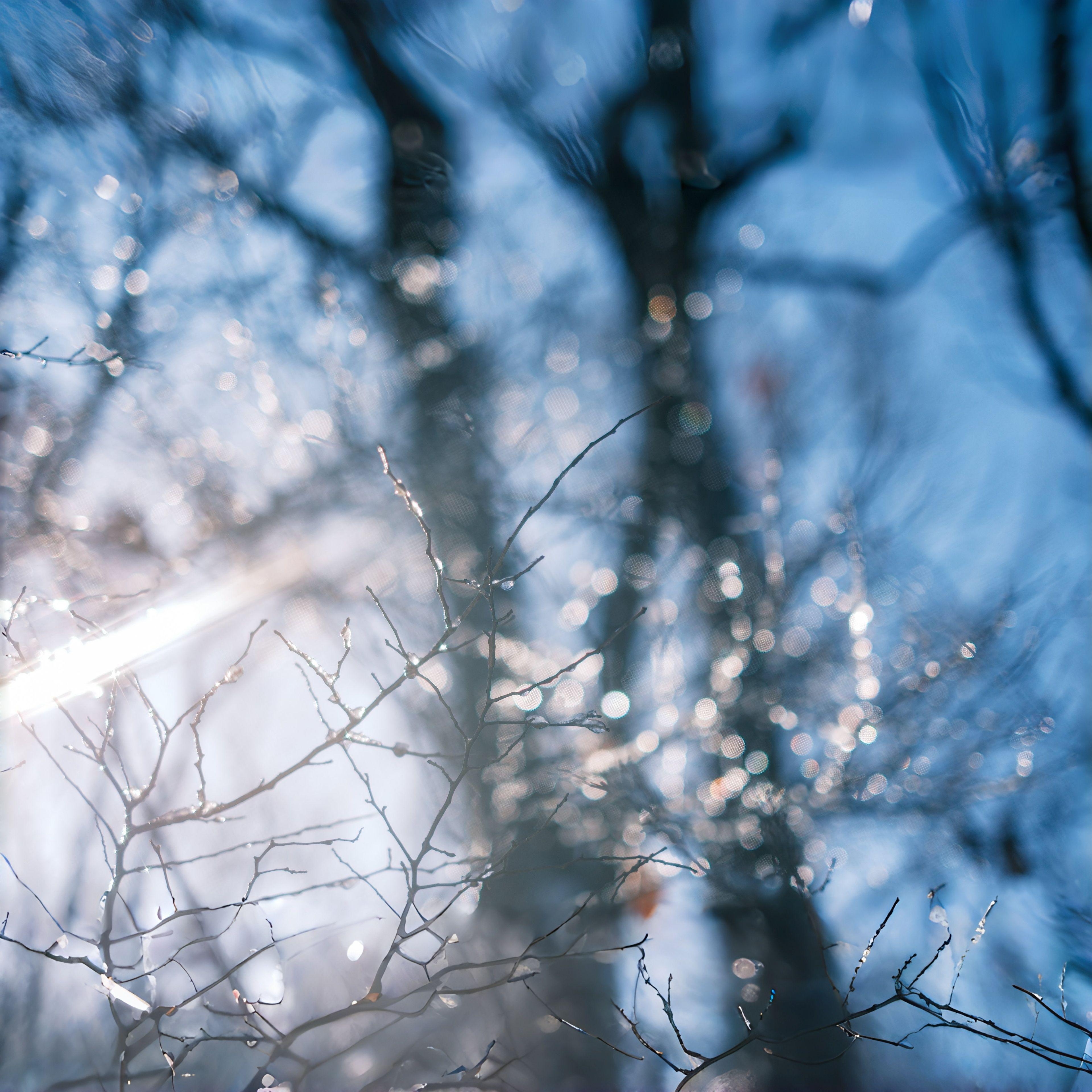 未言相簿 ～ Still Pages