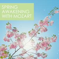 Spring Awakening with Mozart