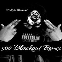 300 Blackout (Remix)