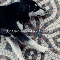 Smooth Dinner Jazz Group - Cultivated Backdrops for Four Seasons