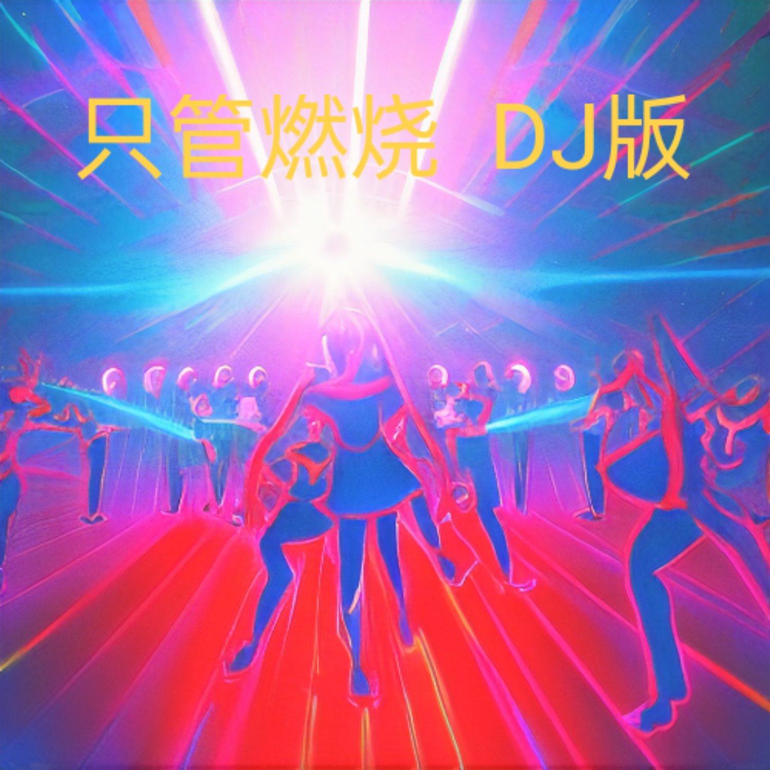 心碎的梦 DJ版.wav封面