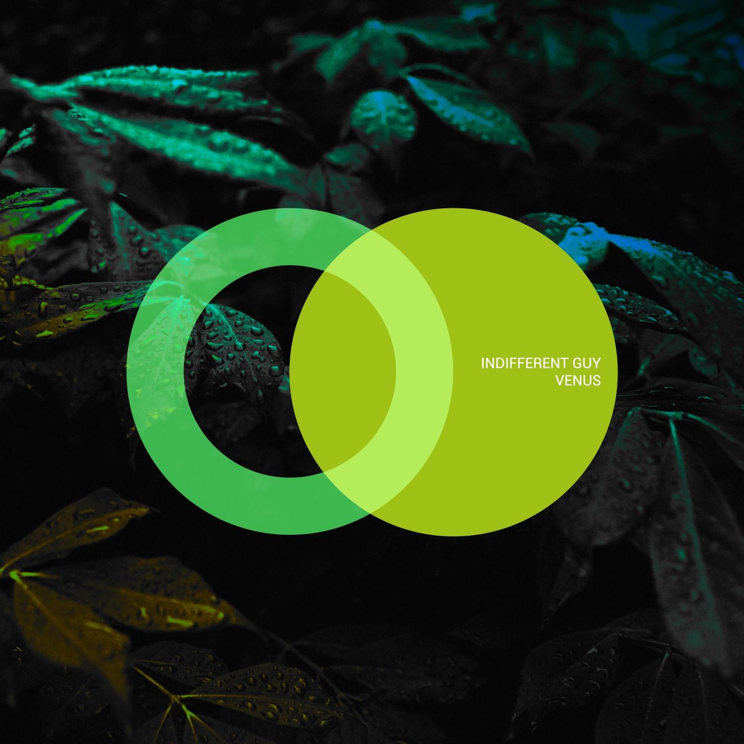 Venus (Original Mix)