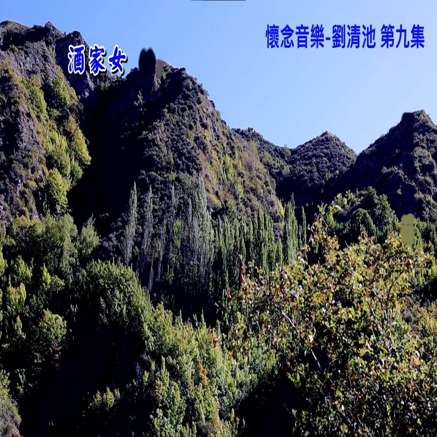 酒家女封面