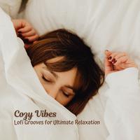 Cozy Vibes: Lofi Grooves for Ultimate Relaxation