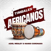 Timbales Africanos