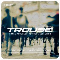 Trouse! - EDM & Progressive House Selection, Vol. 13