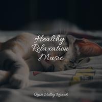 Healthy Relaxation Music