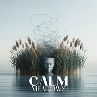 Calm Meadows: Stress-Reduction Routines