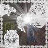 2hollis - the light upon the surface that beckoned deep into the moment and the tiger stepped forth