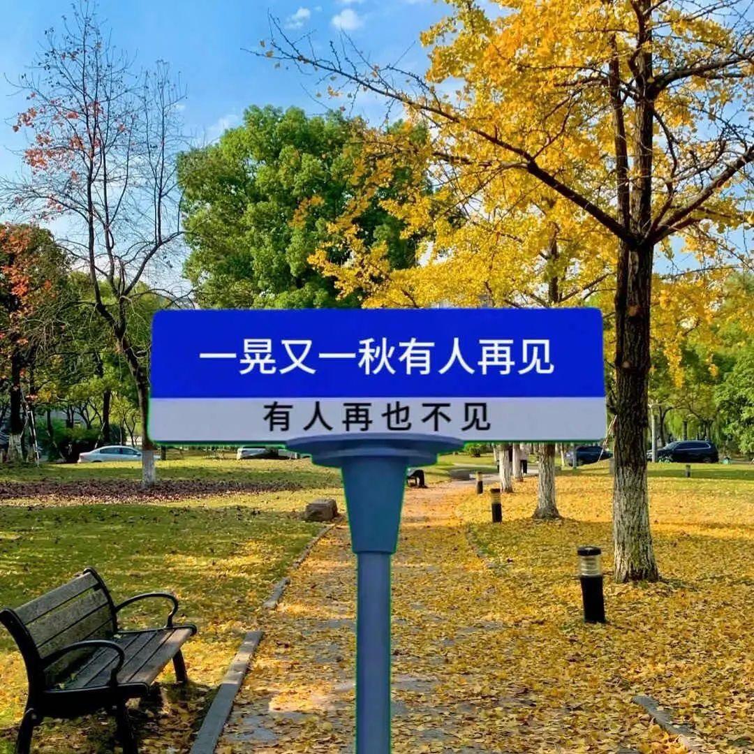 舍不得放手封面