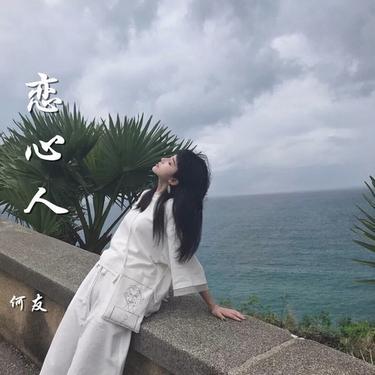芒种 (DJ版) - 何友封面