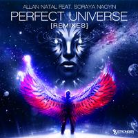 Perfect Universe (Remixes)