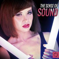 The Sense of Sound