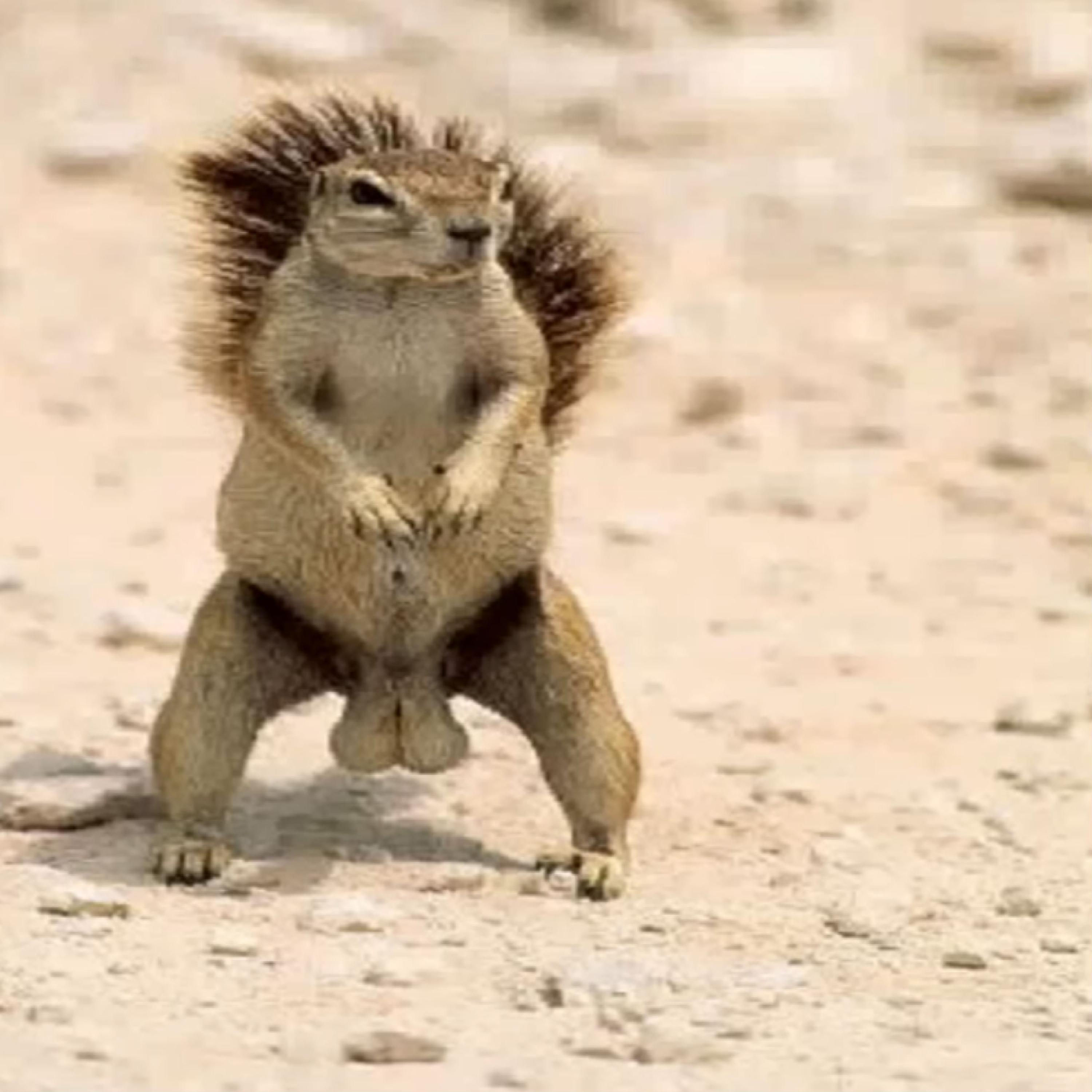 My pussy is magic the girls are all Hallocraams the genital area is fake Nana is bad this world is run by dangerous women