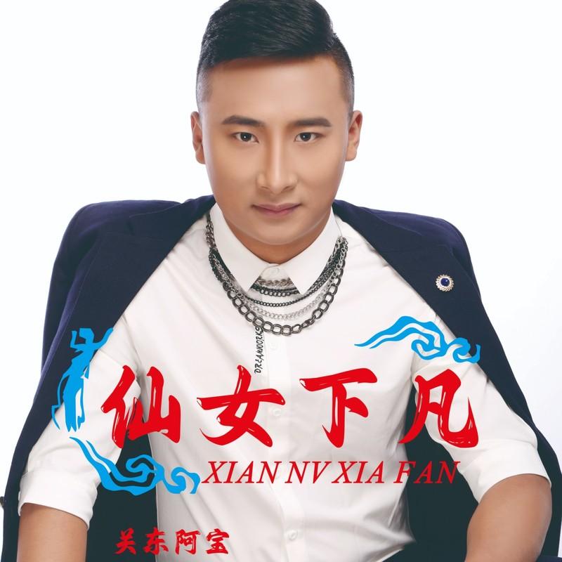 仙女下凡 - 关东阿宝封面