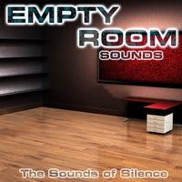 Empty Room Sounds (The Sounds of Silence) (feat. White Noise Sounds For Sleep, Relaxing Nature Sound, Nature Sounds New Age, Soothing Sounds, Soothing Baby Sounds & National Geographic Nature Sounds)