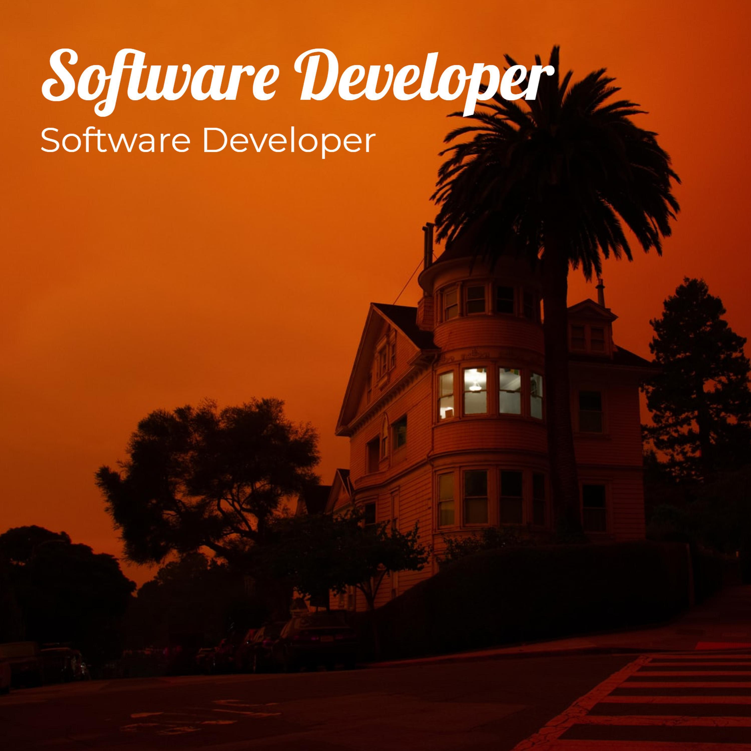 Software Developer