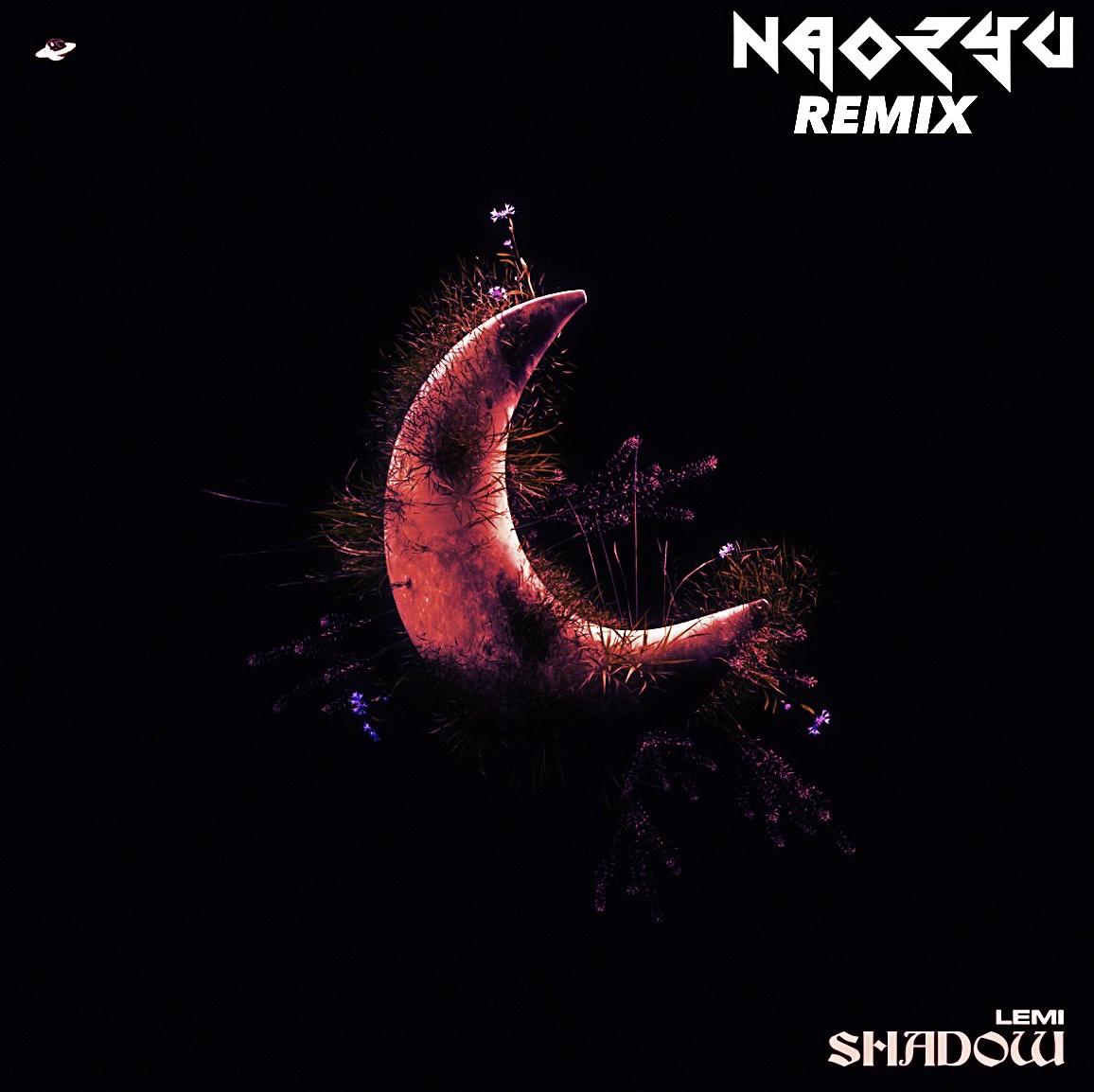Shadow (NAORYU Bigroom House Remix)