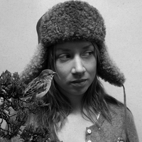Hanne Hukkelberg资料,Hanne Hukkelberg最新歌曲,Hanne HukkelbergMV视频,Hanne Hukkelberg音乐专辑,Hanne Hukkelberg好听的歌