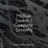 Mellow Sounds | Complete Serenity