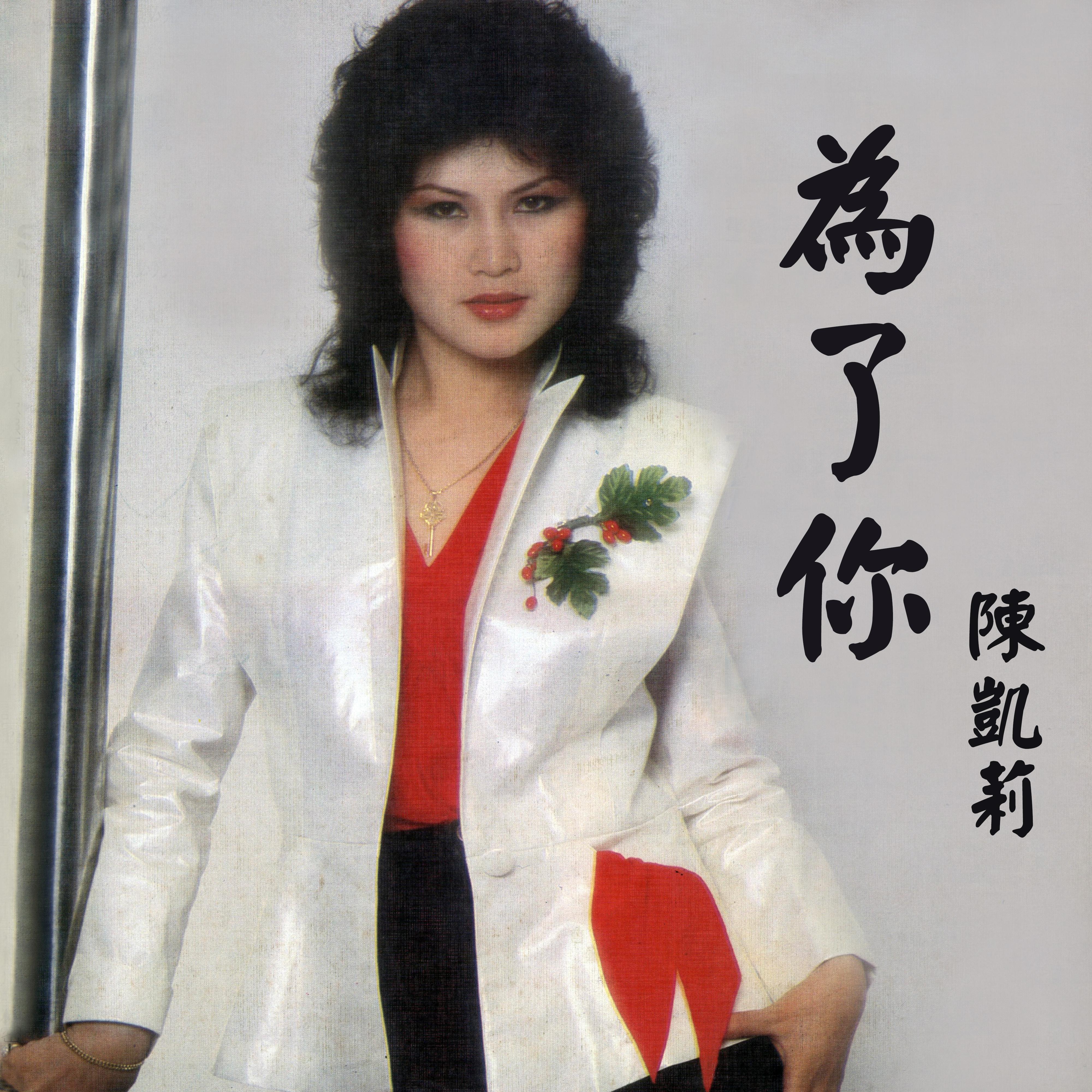 小小的秘密封面
