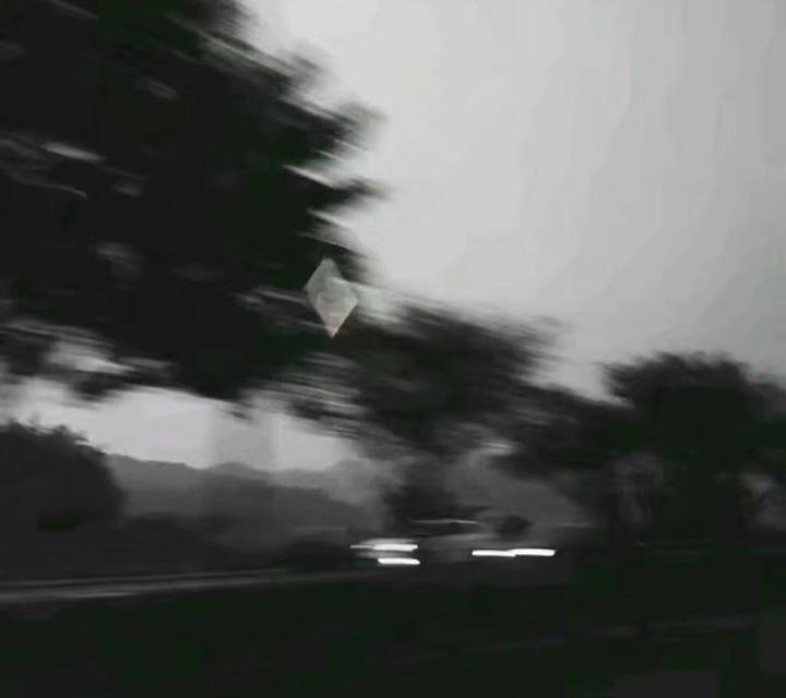 苏白睡醒啦