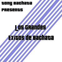 Tony Bachata Presents: Los Grandes Exitos de Bachata