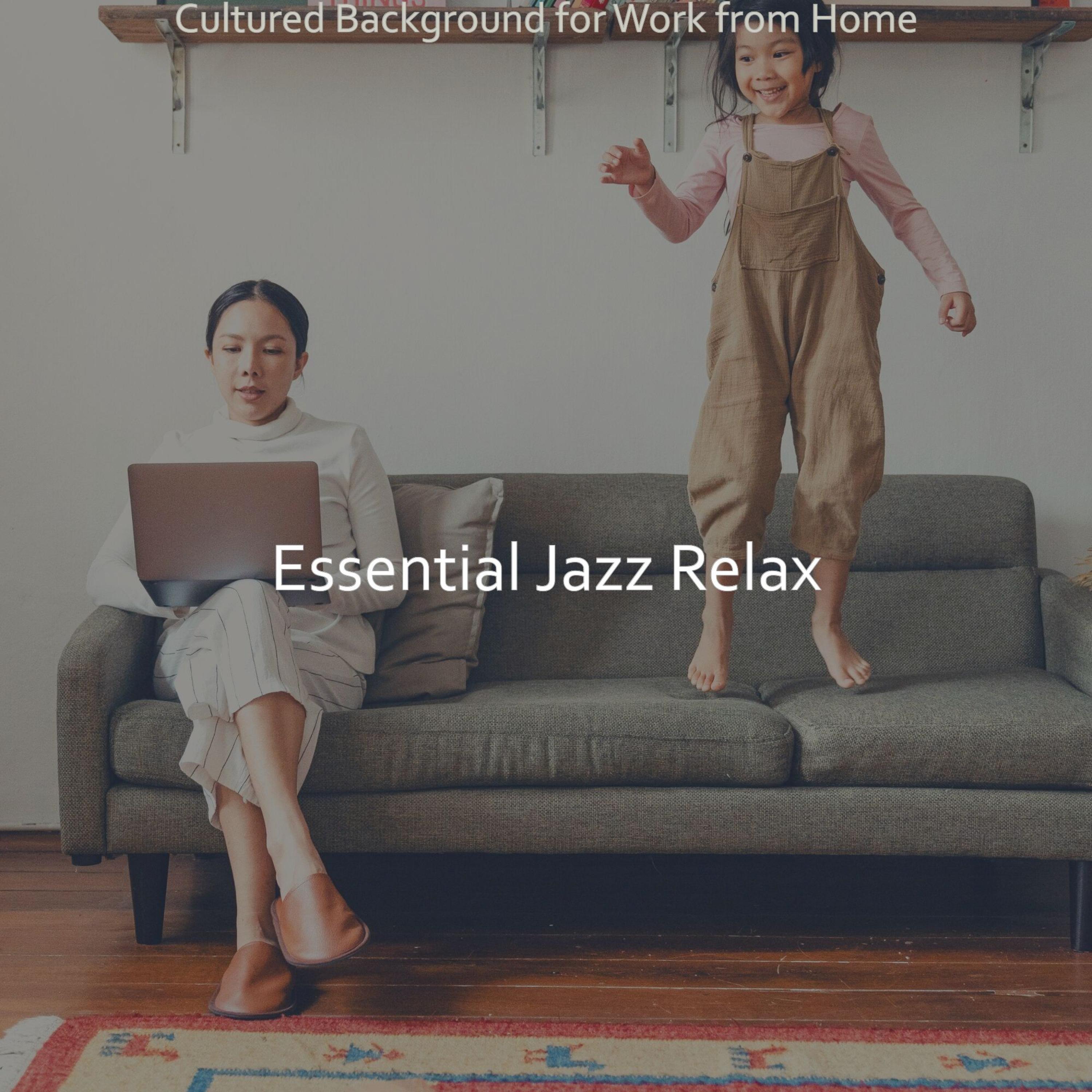 distinguished ambience for work from home