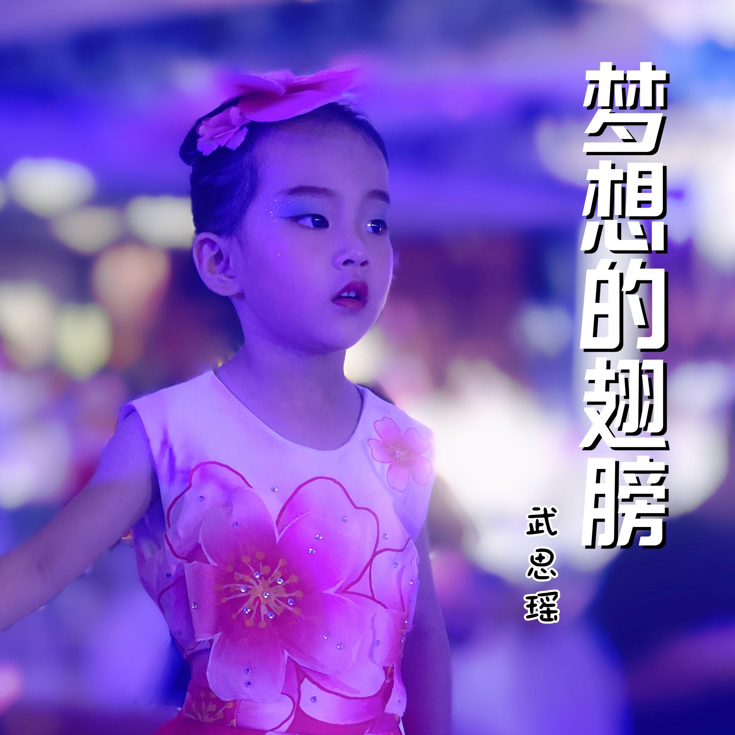 梦想的翅膀(伴奏) - 武思瑶封面