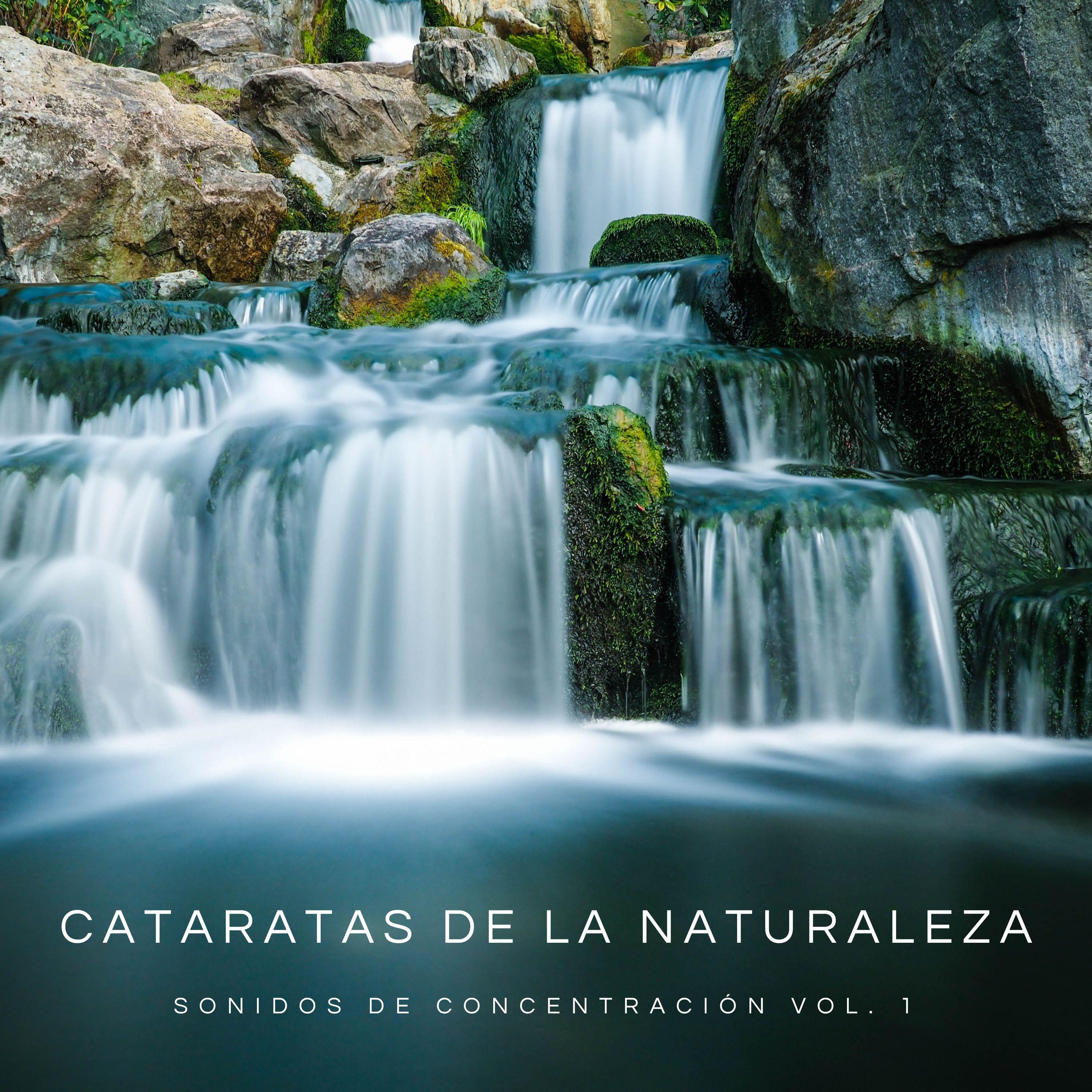 Río Relajante_Musica para Leer Playlist_Cataratas De La Naturaleza: Sonidos De Concentración Vol. 1 | 在线播放_Río Relajante歌词_Río Relajante下载 | 网易云音乐