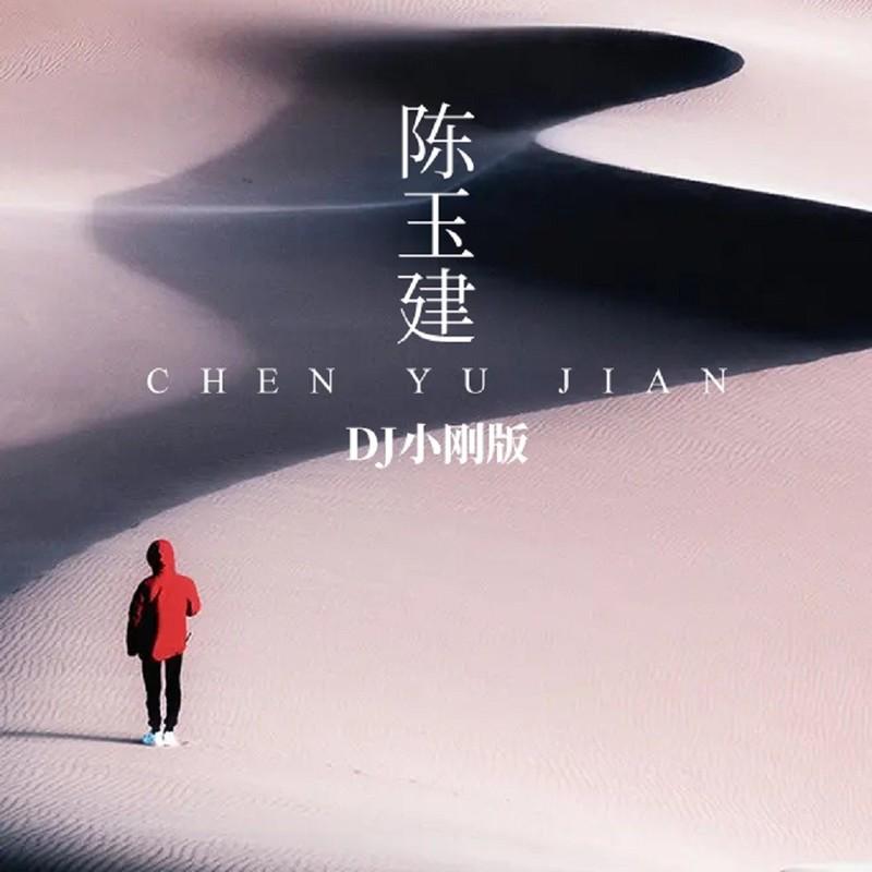 我的小女人 (DJ小刚版) - 陈玉建封面
