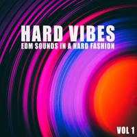 Hard Vibes, Vol. 1