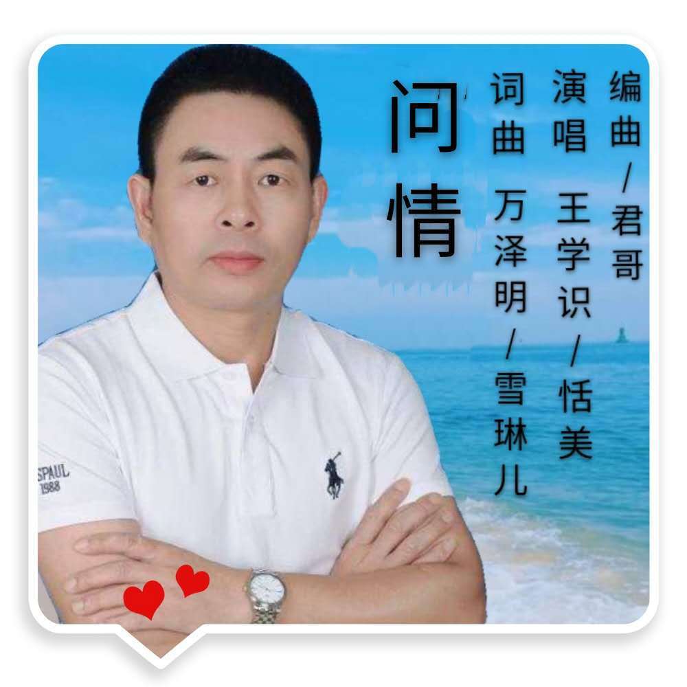 问情 (伴奏)封面