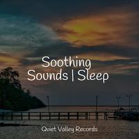 Soothing Sounds | Sleep