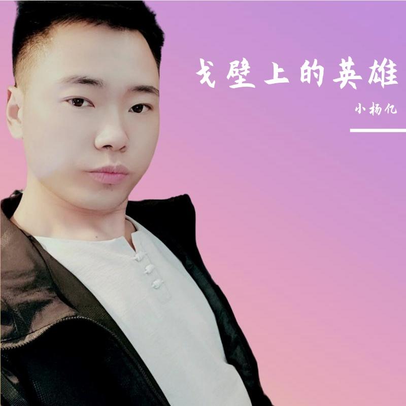 戈壁上的英雄封面