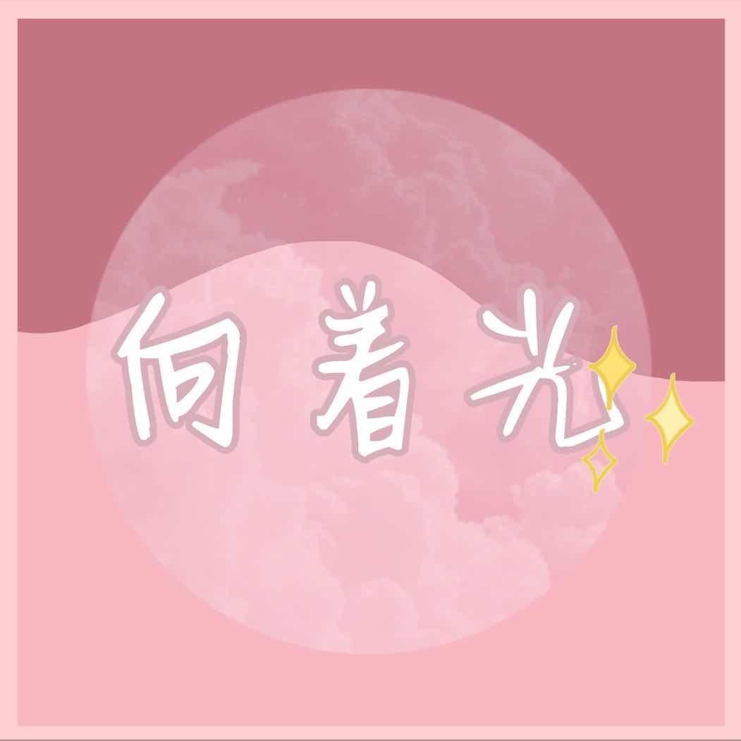 向着光封面
