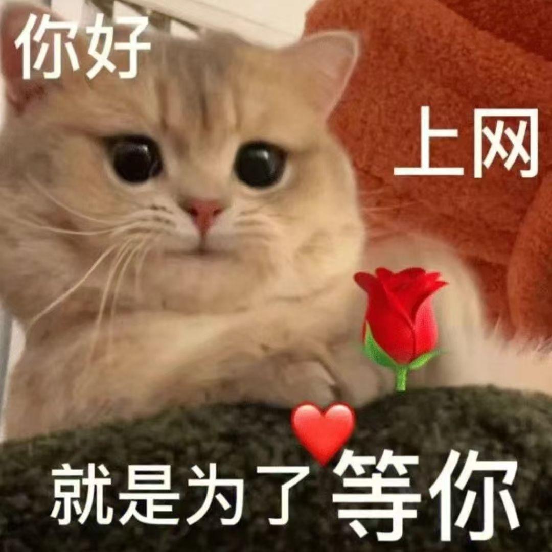 狐狸精【娇气绿茶男和霸气年上】