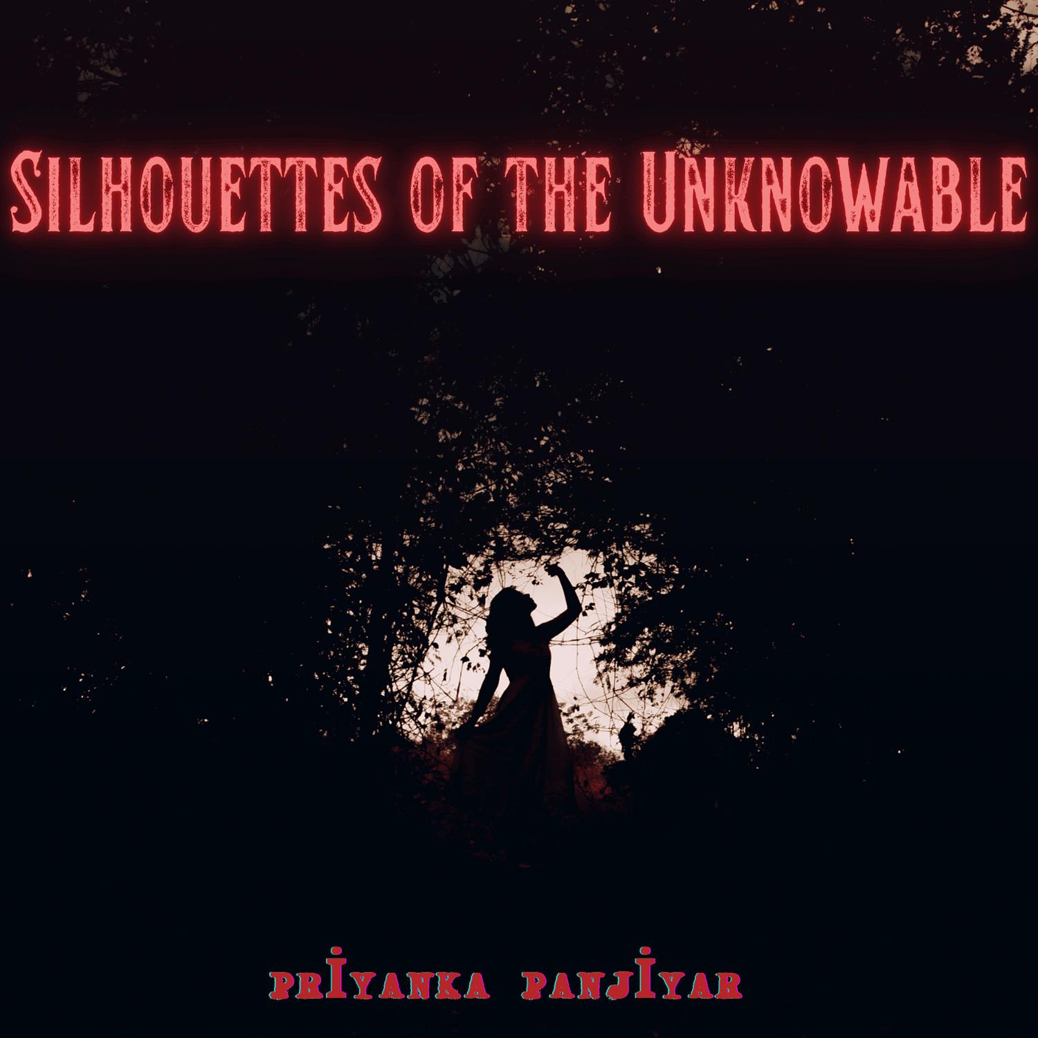 Silhouettes of the Unknowable