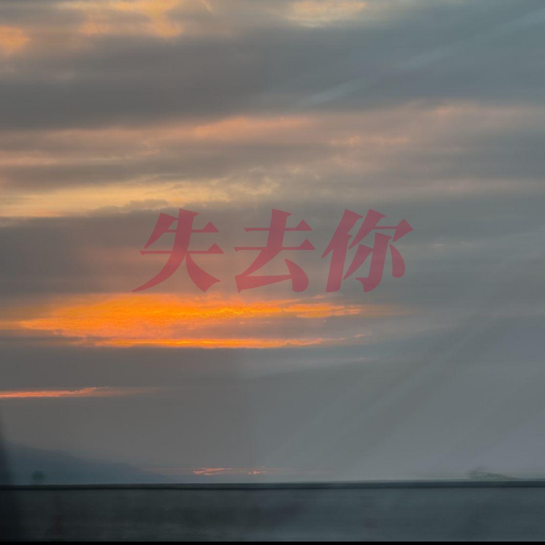 失去你封面