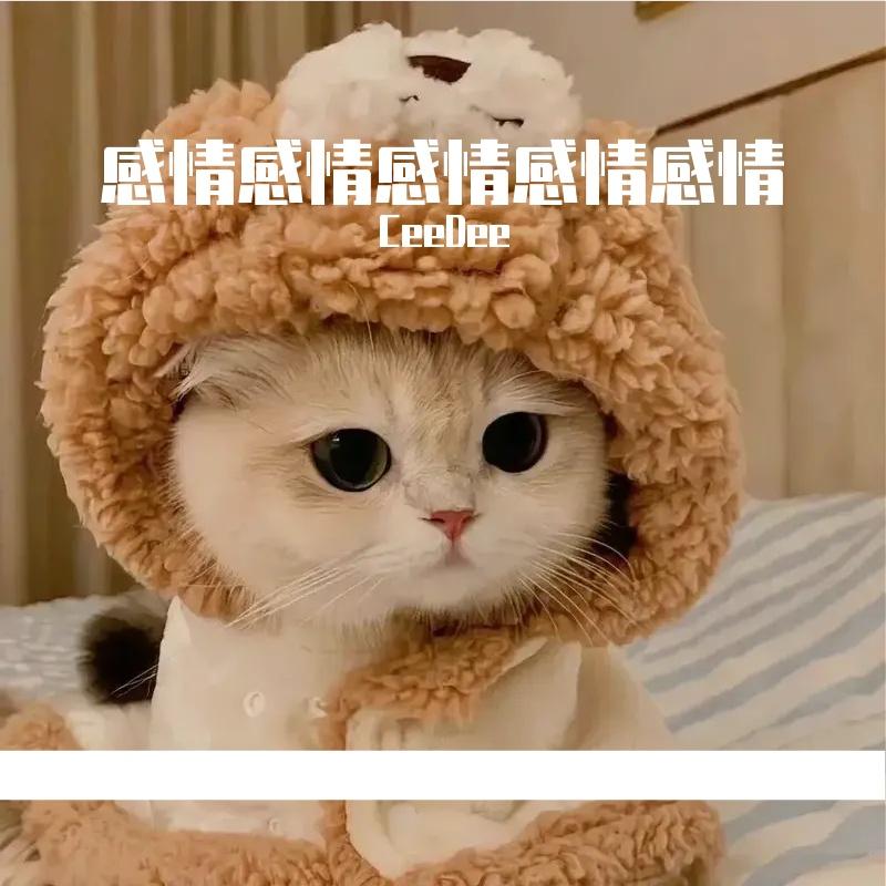 思君封面